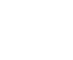 Orciani