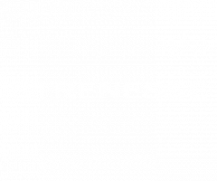 Strenesse